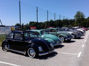 Beetle Show Rioz (79)